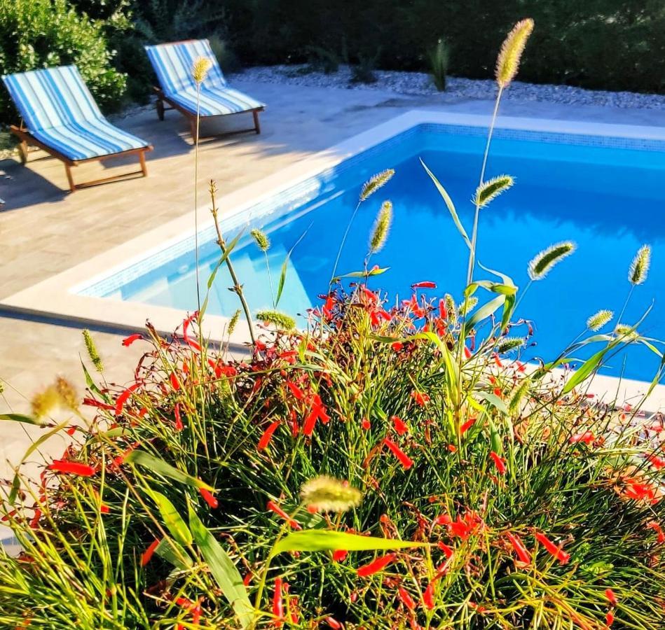 *****Pool House With Beautiful Seaview,Big Garden And Old Tavern***** Rijeka Bagian luar foto